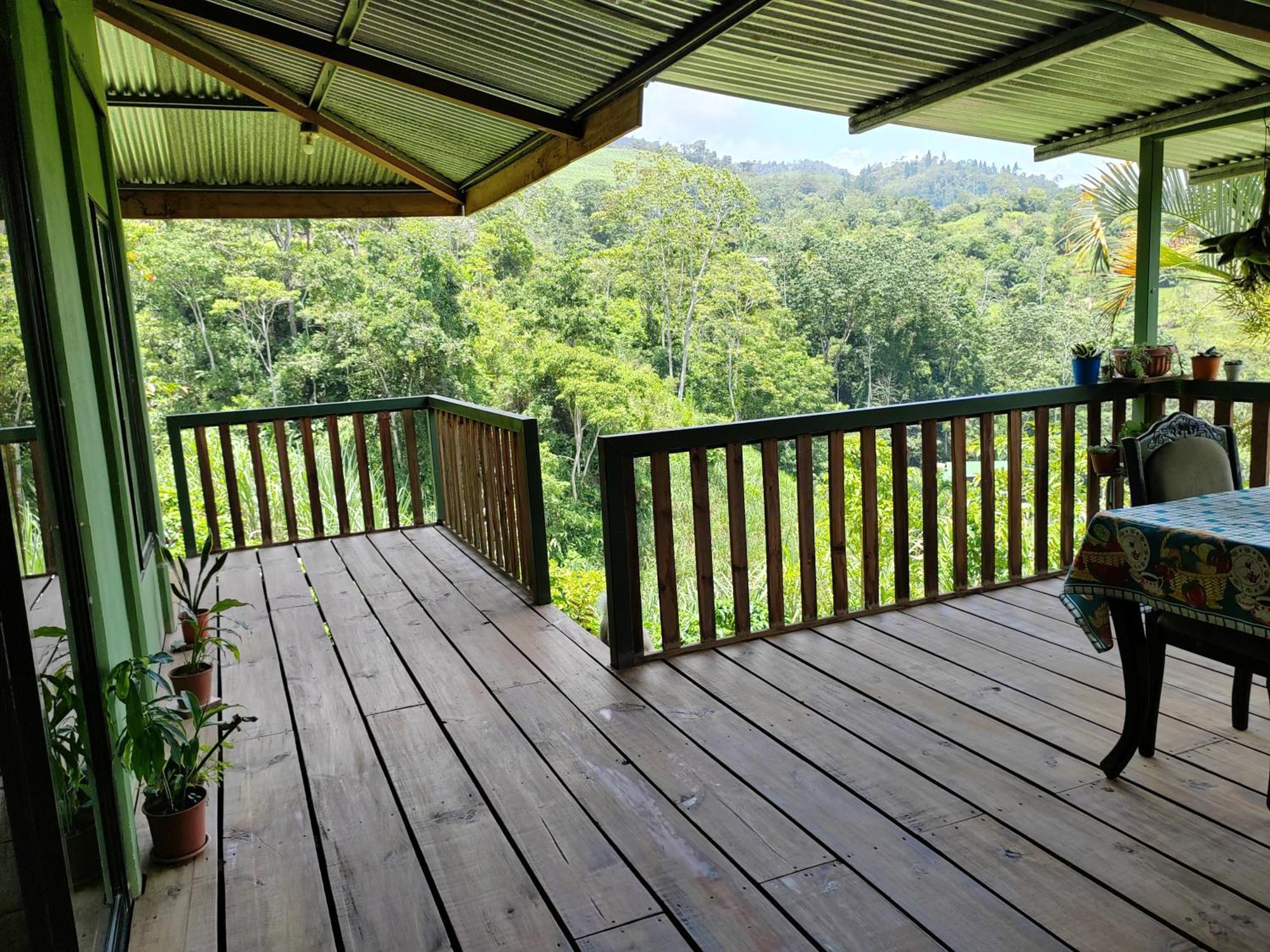 Bella Vista Guest House Turrialba Exteriör bild