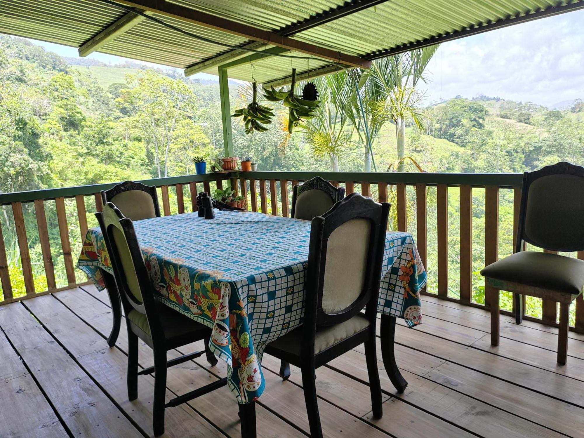 Bella Vista Guest House Turrialba Exteriör bild